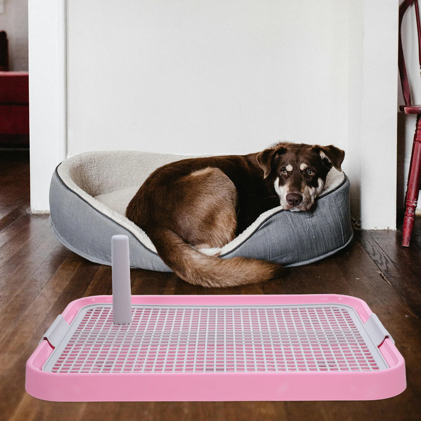 

Dog Toilet for Small Large Dogs Indoor Pet Potty Tray Splash Proof ABS Material Training Pee Pad Stand Indoor Potty for Dogs