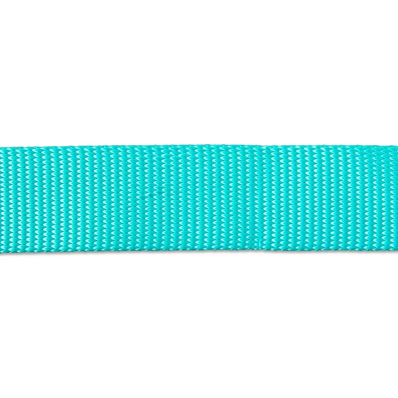 6' Polyester Standard Dog Leash, Teal