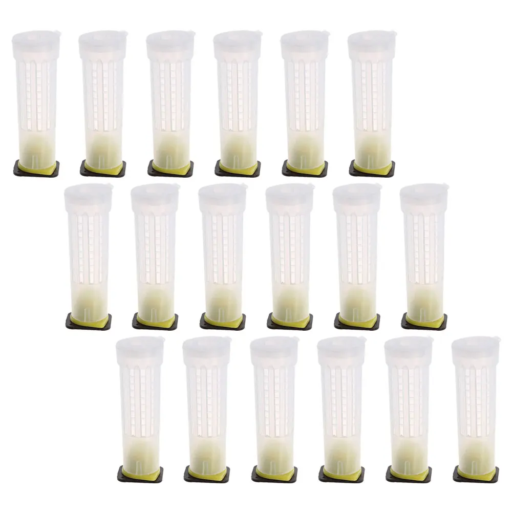 

24Pcs Beekeeping Equipment Durable Plastic Cages for Breeding Ventilated Design Bee Rearing Tools Accessories Bee Breeding Cage