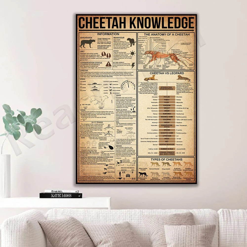 Cheetah Knowledge Canvas Poster, Cheetah Wall Art, Cheetah Poster, Cheetah Illustration, Animal Icidal Sion, Gift for Animal Lover