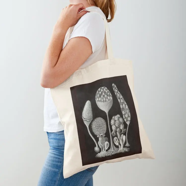 

Ernst Haeckel Slime Mold illustrations from 1900 Tote Bag custom fabric bag sac pour femme large tote bag woman shopping
