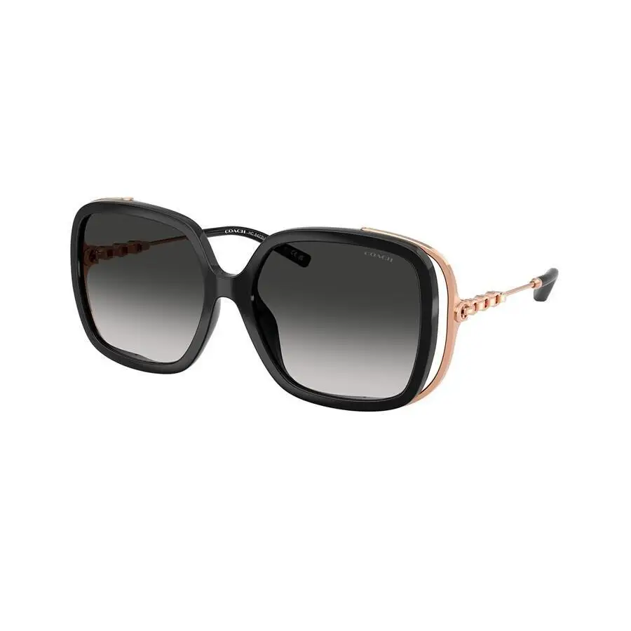 Lens Coach Integration Flower Sunglasses Coach Hc8233 L1033 