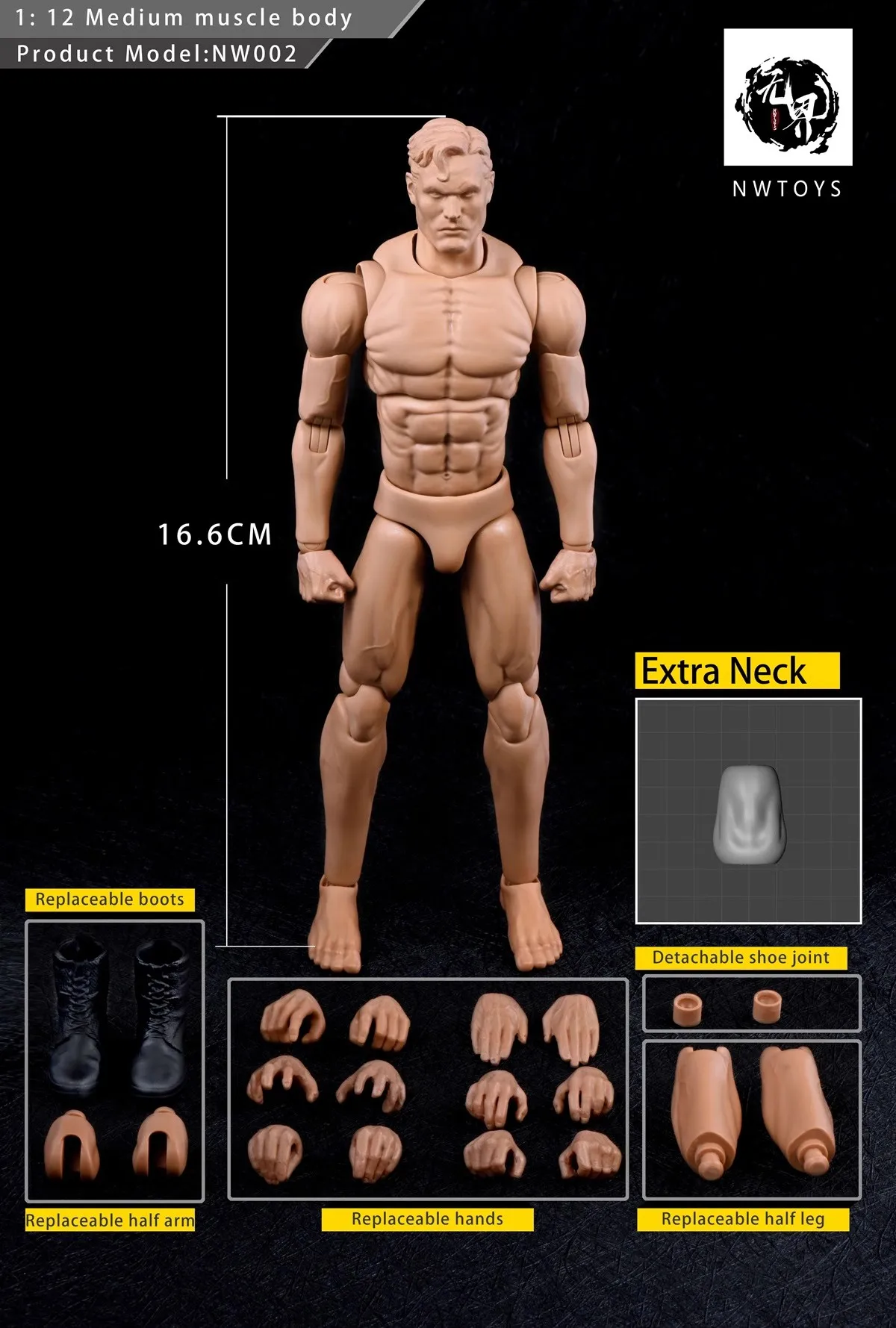 NWTOYS 2.0 1/12TH Scale NW002 Medium Muscle Human Body Model Dynamic Movable Figure Toy 16.6cm Collection DIY