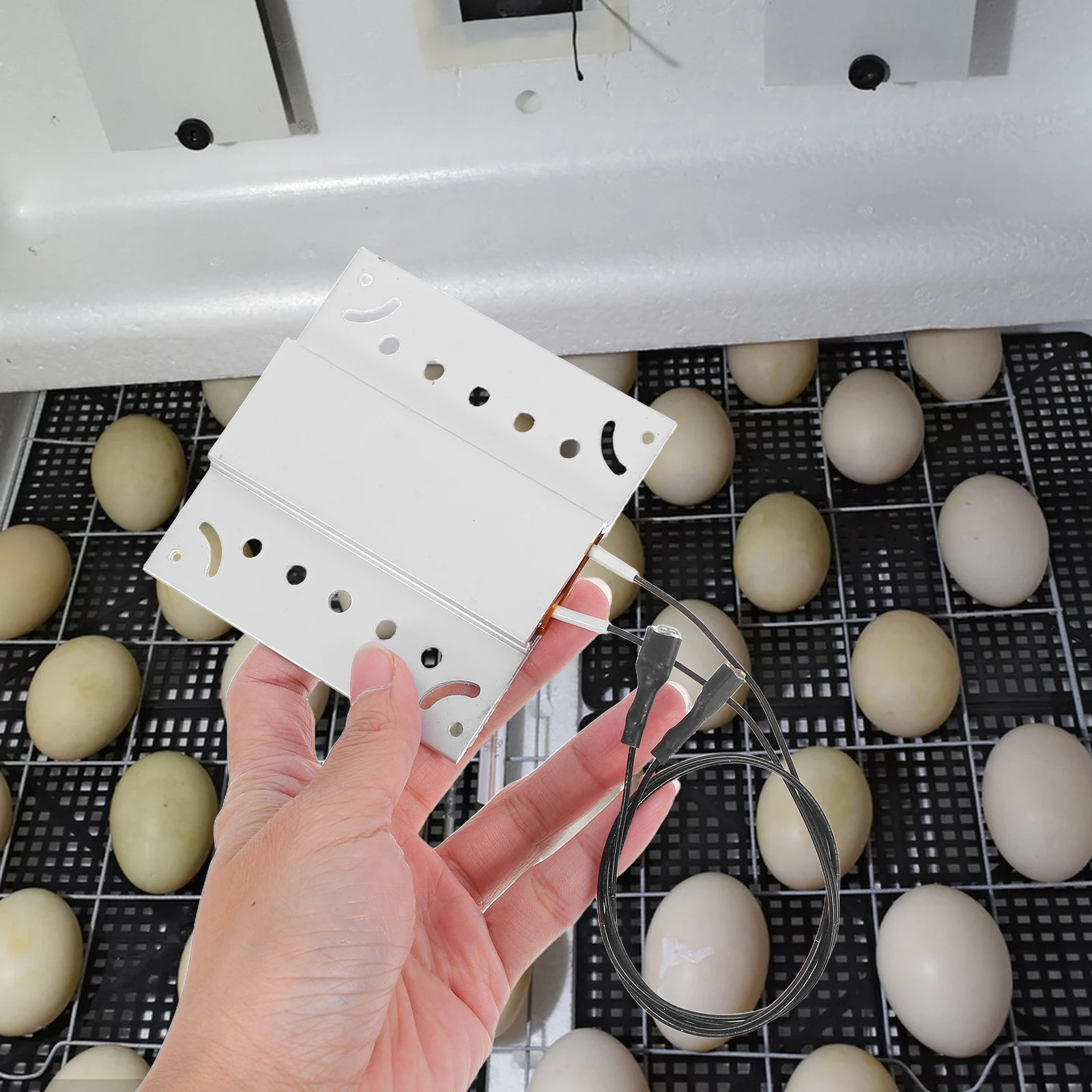 

1pc Incubator Heating Sheet Small Egg Heater Plate Accessory Constant Temperature PTC Equipment Mini Thermostat