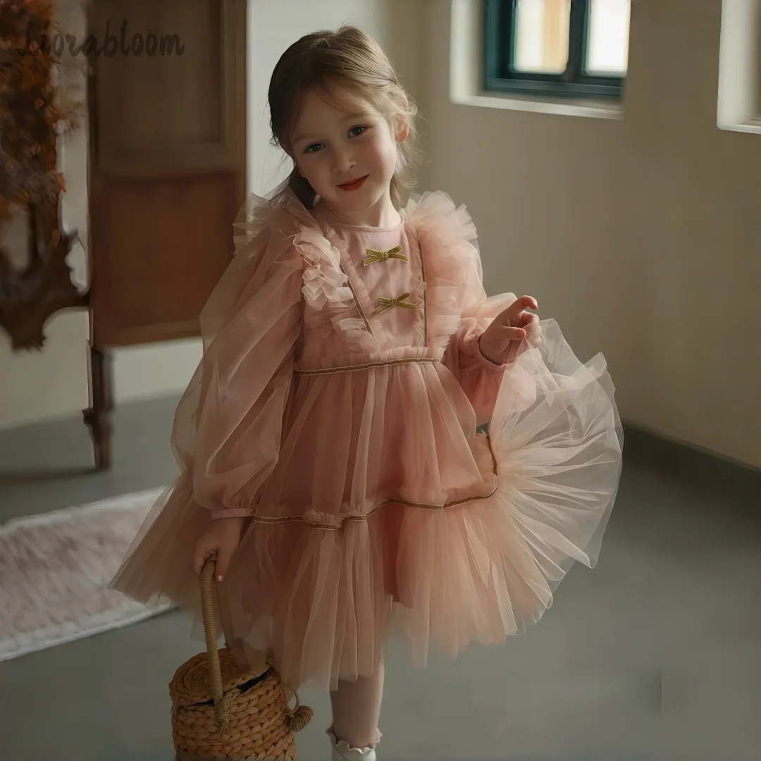 

Girls' Exquisite Sheer Tulle Dress Simple Elegant Long Sleeve Attire Everyday Wear Enchanting Flower Girl Occasions