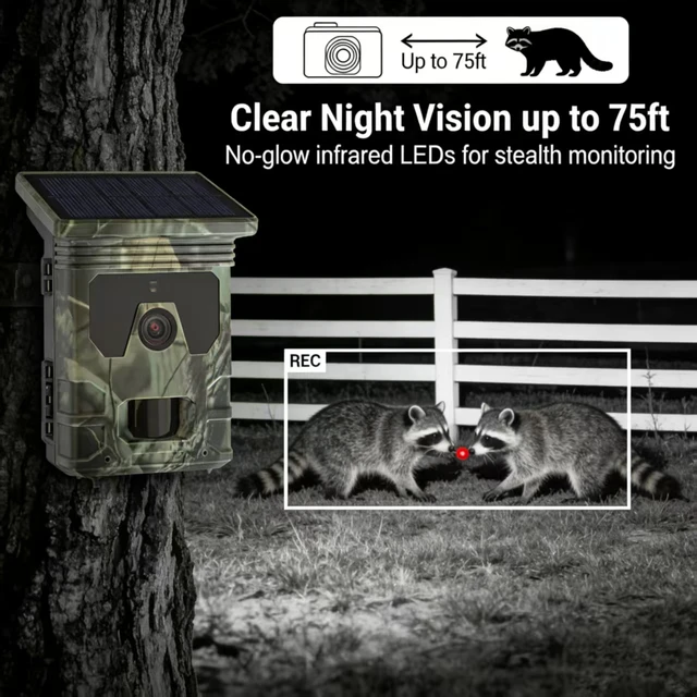 50MP 4K Solar Panel Hunting Camera Infrared Night Vision Monitoring Wildlife Trap Trail Camera Video Photo Recorder Cam 6 50MP 4K Solar Panel Hunting Camera Infrared Night Vision Monitoring Wildlife Trap Trail Camera Video Photo Recorder Cam 6