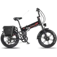 RANDRIDE YX20M Electric Bike 2000W Dual Engine 48 v20ah Battery Electric Bike 20*4, 0 Cal Fat Tyre Urban Off-road Mountain Ebike