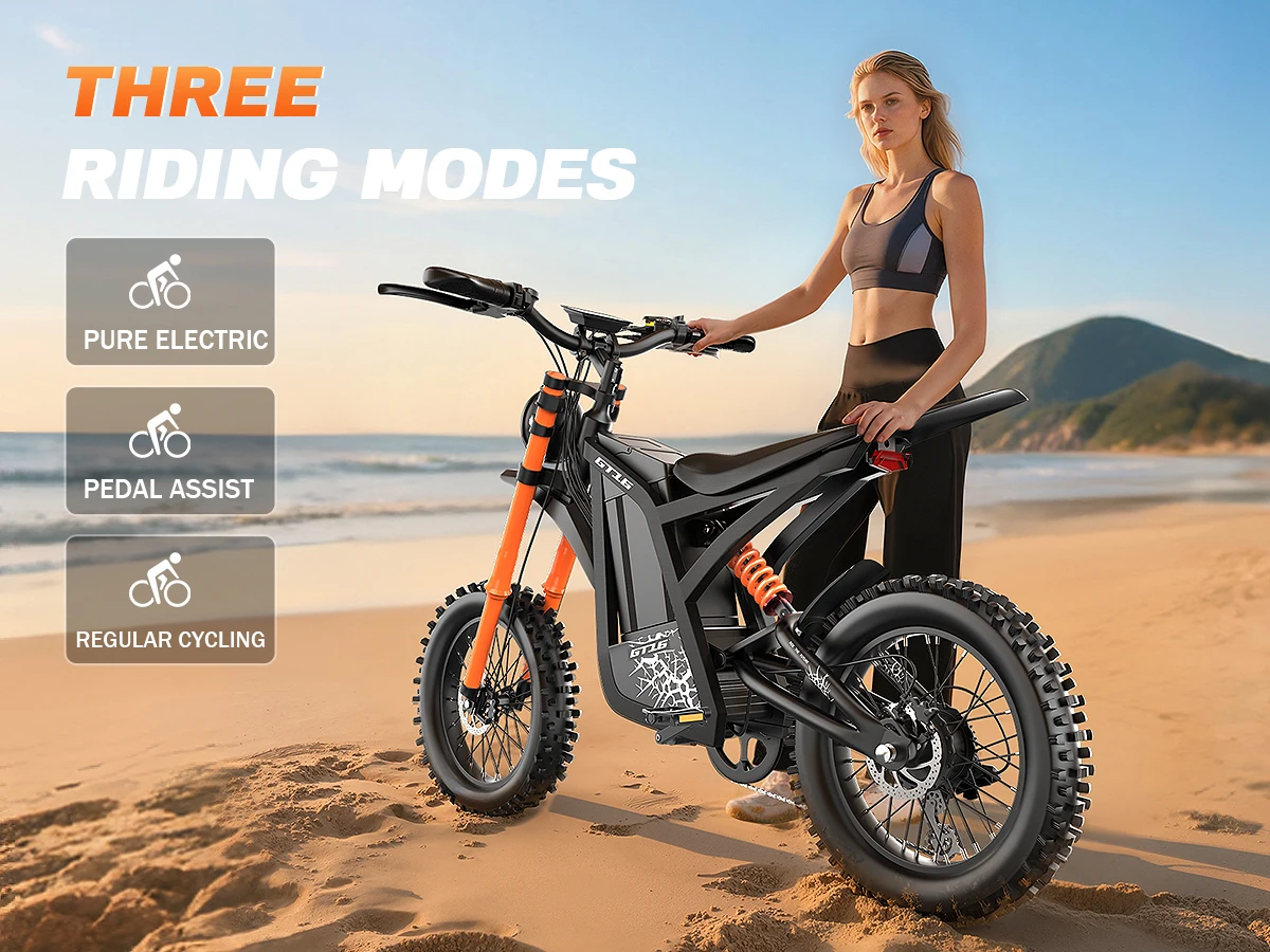 GT16 250w 500w 750w 1000w Mountain Electrica ET EV E Bike Electric Bicycles Ebike Dirtbike Emtb MTB Fatbike Bicicleta for Adults