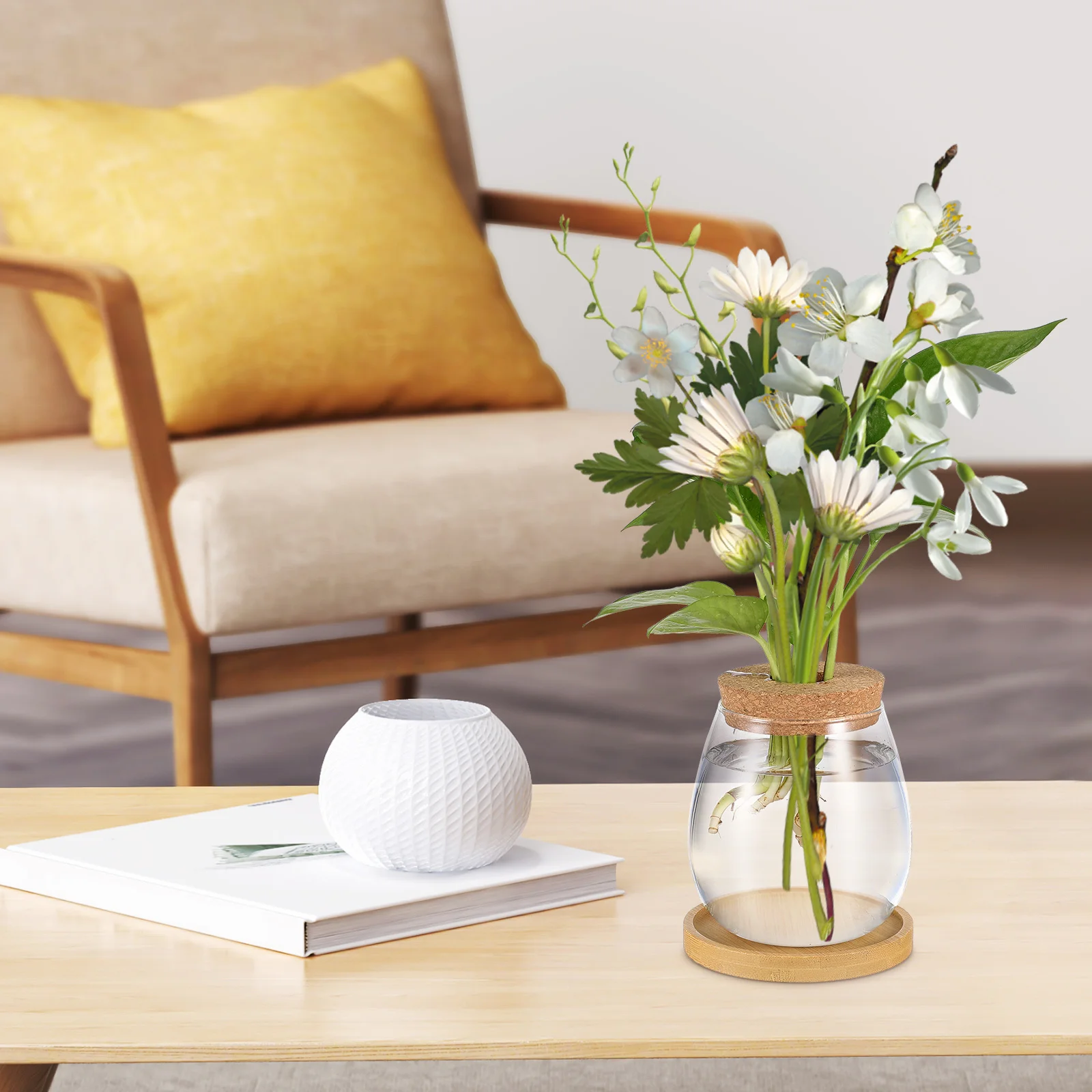 

2Pcs Glass Plants Holder for Hydroponic Vases Propagation Tubes with Wooden Base Terrarium Jar Indoor Garden Decoration