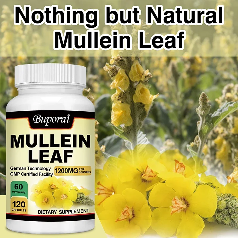 Mullein Leaf - Clean The Lung Protecting The Respiratory System Relieve Phlegm and Cough Immune Support