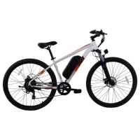 PVY M29 Electric Bike 29 Inch Electric Moped 500W Family Bike E Bike 32 Km/h 48V 17.5Ah Folding Electric Bicycle for Adults