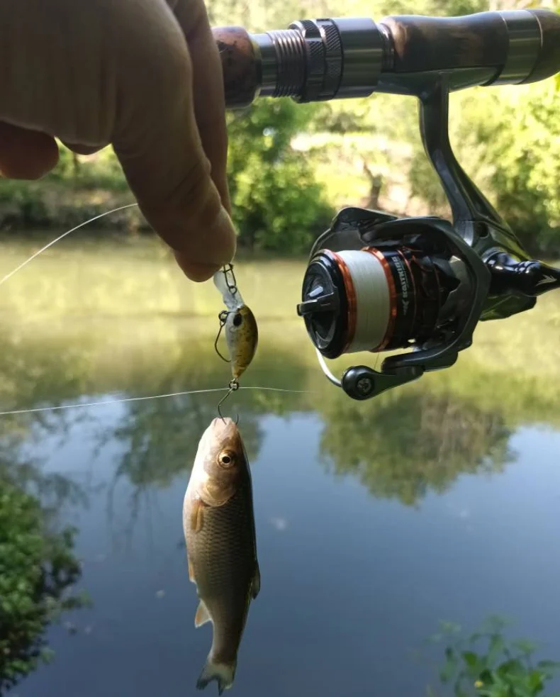 Kingdom Small Crank Minnow 1,5 g 25 mm 3,2 g 32 mm schwimmender Mini-Kunstköder mit Einzelhaken, harter Wobbler zum Angeln auf Barschforellen – Detail 6