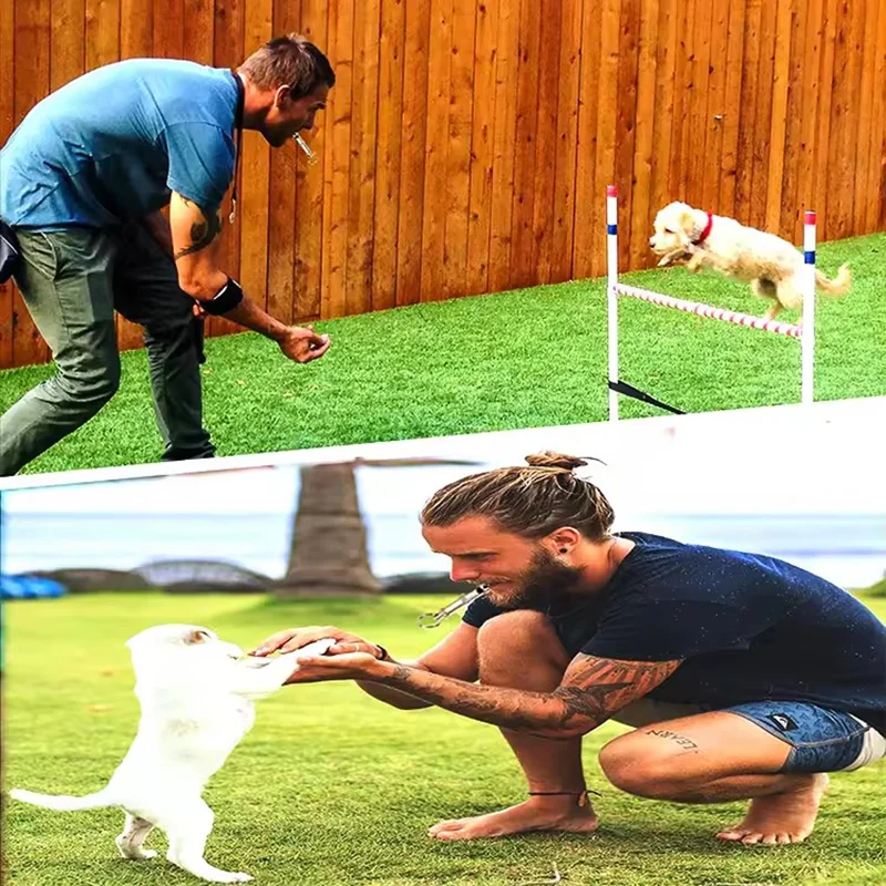 Ultraschall-Hundetrainingspfeife zur Bellstopp-Gerät, leise Trainingsflöte, Welpen-Schlüsselanhänger, Kontrollwerkzeug, Haustierzubehör – Detail 5