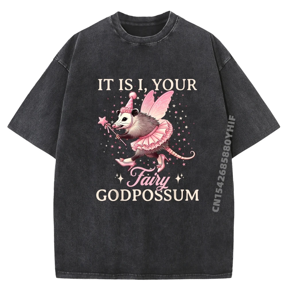 

It Is I Your Fairy Casual Printed T Shirt Women's Tops & Tees Graphic Shirt Mens Oversized Washed Clothes