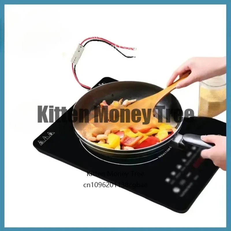 

Competitive Price OEM/ODM Solar Single Hotpot Cookware DC 12V 24V 48V Induction Cooker Cooktop Cooking Stove