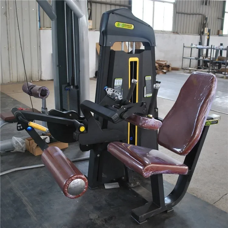 Fitness Body Building Machine Commercial Seated Leg Extension Curl Gym Equipment Support OEM