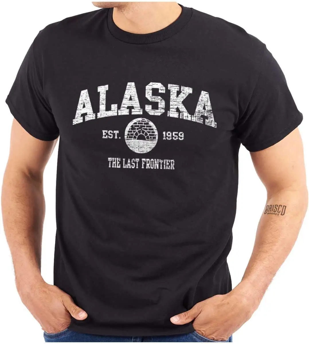 

Мужская футболка с сувенирным рисунком Alaska Last Frontier Igloo o