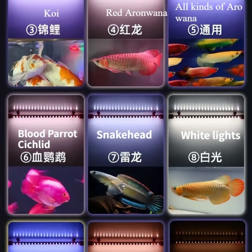 LED Aquarium Light Fixture Submersible Arowana Tanning Light Strip Color  Changing Fish Tank Light 72-172CM Enhance Fishes Color - AliExpress 15