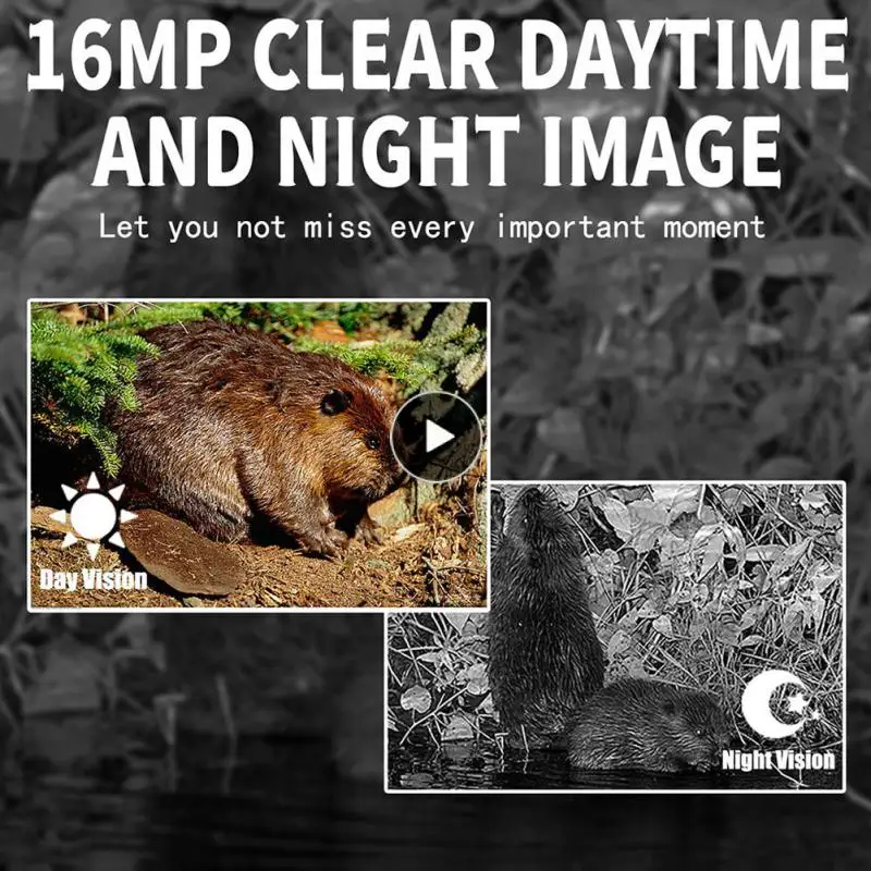 

Wildlife Scouting Camera 16mp Night Vision High Resolution Durable Versatile Scouting Camera Hunting Trail Camera Pr300 Camera