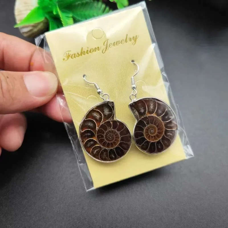 5pairs Natural Ammonite Snail Conch Shell Healing Stone Fashion Dangle Hook Earrings For Women Jewelry