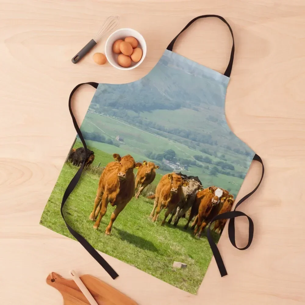 

Curious Cows Apron Manicurists Kitchen Things Women's christmas Apron