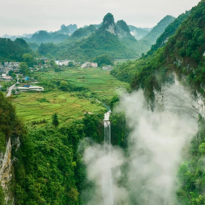 

JX Servo PDI-HV2060MG Цифровой сервопривод — высокий крутящий момент 60 кг, 180/360 ° Вращение, Металлическая шестерня, Высокое напряжение