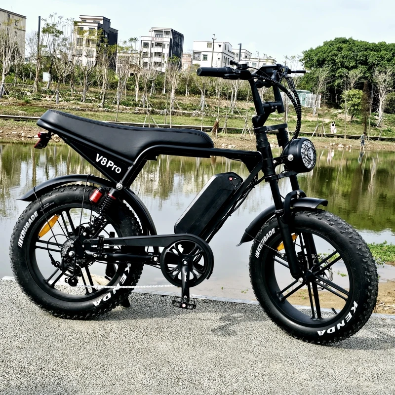 V8 Pro 20 pollici Fat Tire All-Terrain Bici da cross elettrica 250W Bicicletta elettrica 48V Batteria al litio Bicicleta Elettrica E-Bike Ebike