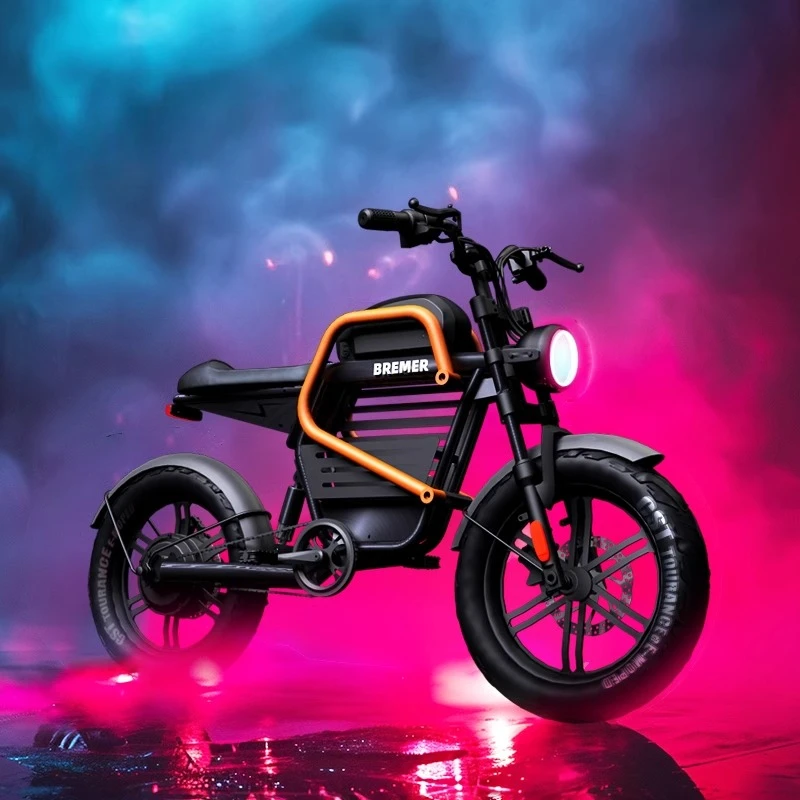 

Electric bicycle M20 new national standard electric vehicle retro straddle motorcycle off-road electric power 3C certification