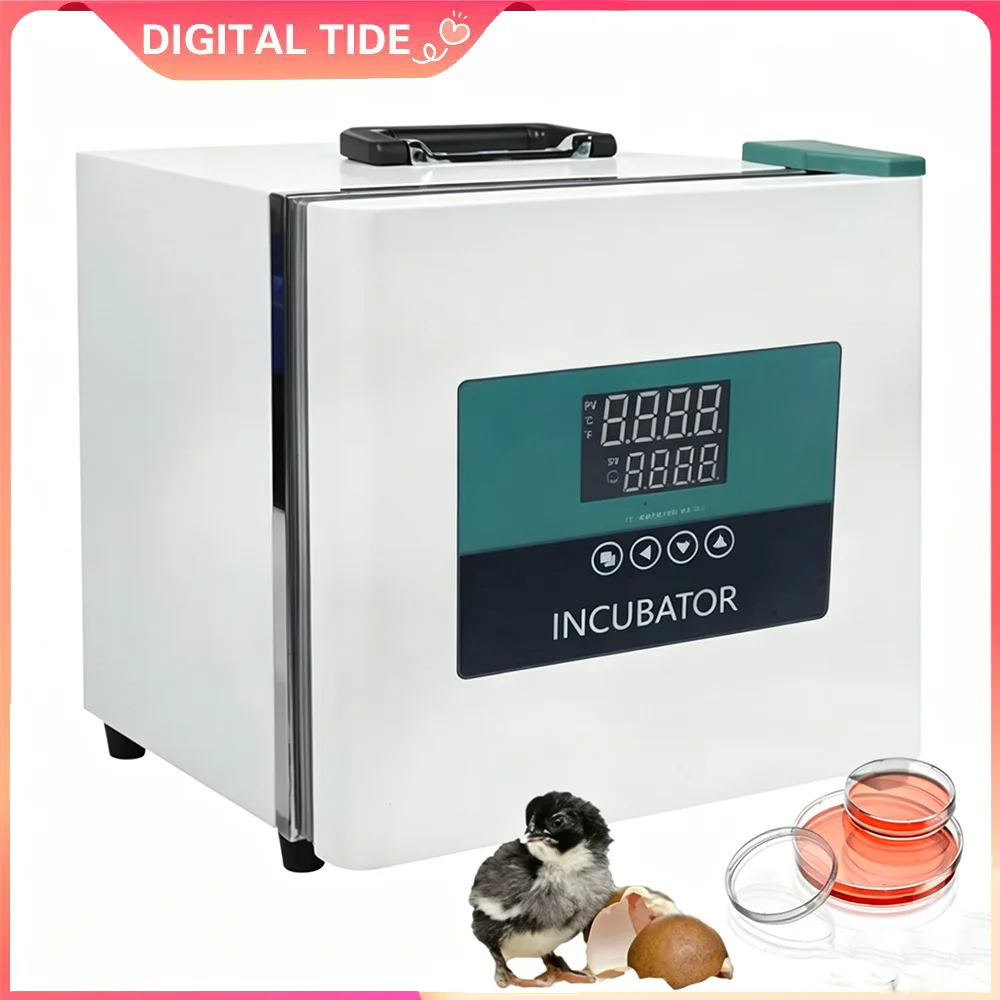 220VLab Equipment Laboratory Portable Incubator 9.2L Biological Microbiology Bacteria Thermostatic Heating Cooled Incubator