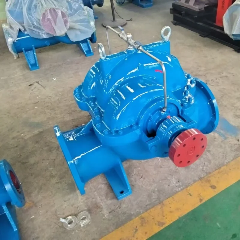 Centrifugal SH Large Flow Split Type Agricultural Double Suction Stainless Steel Clean Water Pump with High Pressure