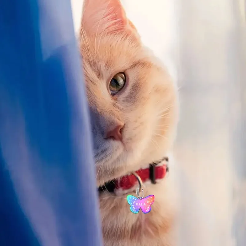 Etiquetas de identificación con nombre y teléfono para perros y gatos - imagen 5