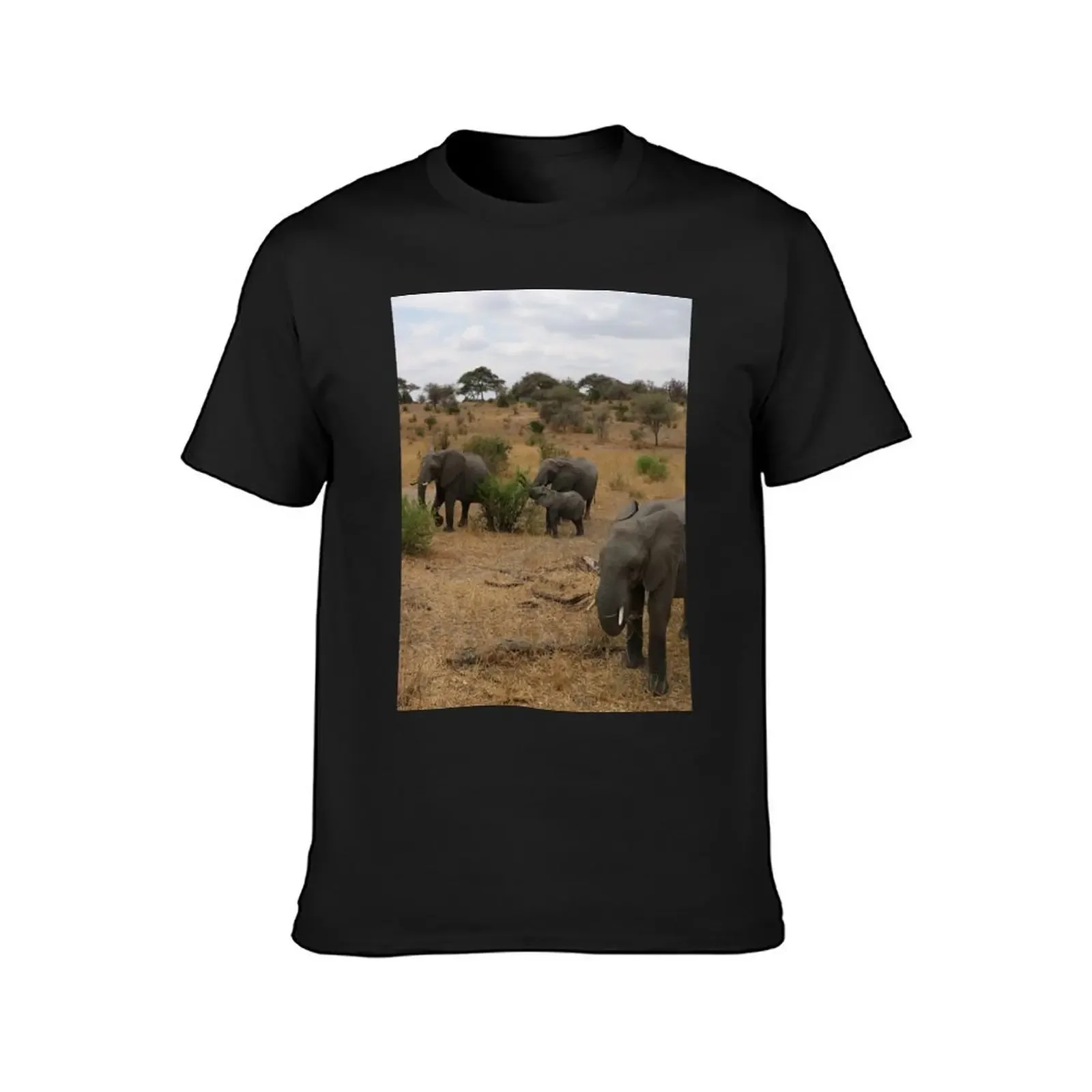 Africa, Tanzania, animals, elephants, photography, BebiCervin T-Shirt new edition plus sizes graphics men clothes