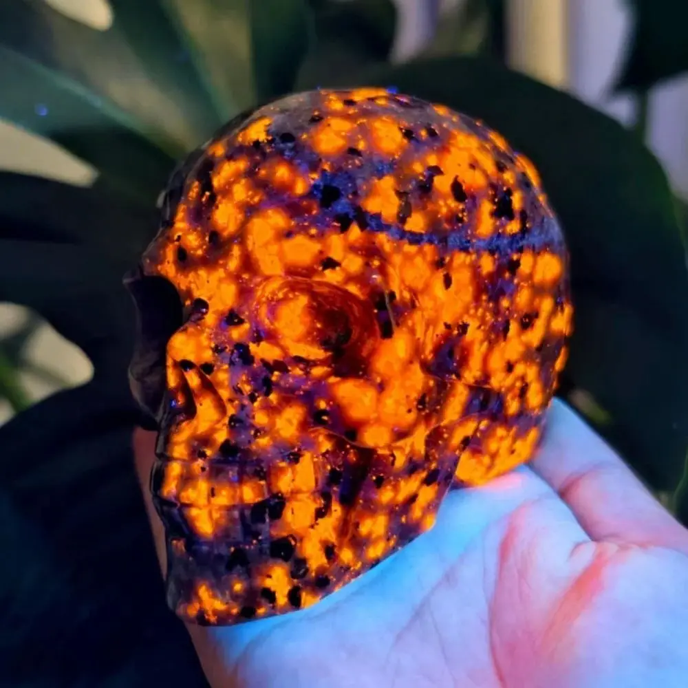 

1pc Natural Yooperlite Crystal Skull Hand Carved Flame Stone Bone Halloween Day of the Dead Easter Jewelry Accessory