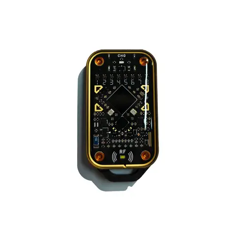 MINI Chameleon Ultra V2.0 RFID Smart Chip plastic Reader SmartCard Emulator T5577 Keychain 125KHZ 13.56Mhz Decode NFC Duplicator