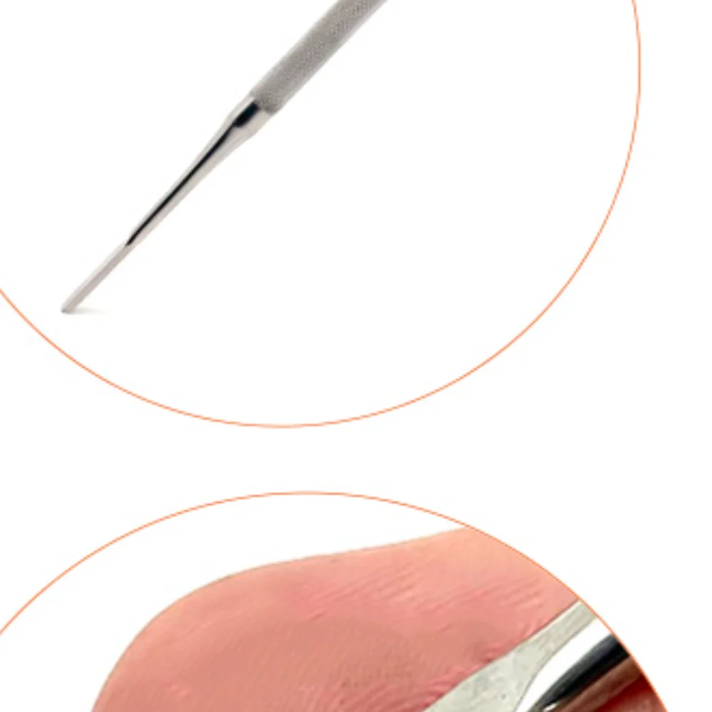 

Stainless Steel Osteotome and Bone Scraper Set for Dental Implant Surgery Reusable Surgical Instrument Kit