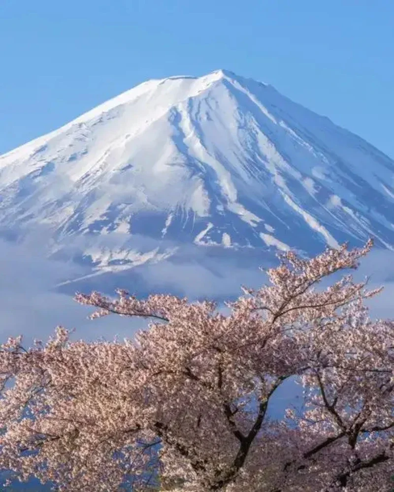 

Personality Friendly Police Dog England Car Stickers Accessories Motorcycle Cover Scratches Waterproof