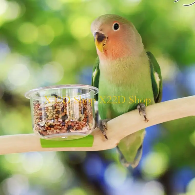 X22D Bird Bowl Training Cup Parrots Cage Feeder for Cockatiels Budgies Parrots