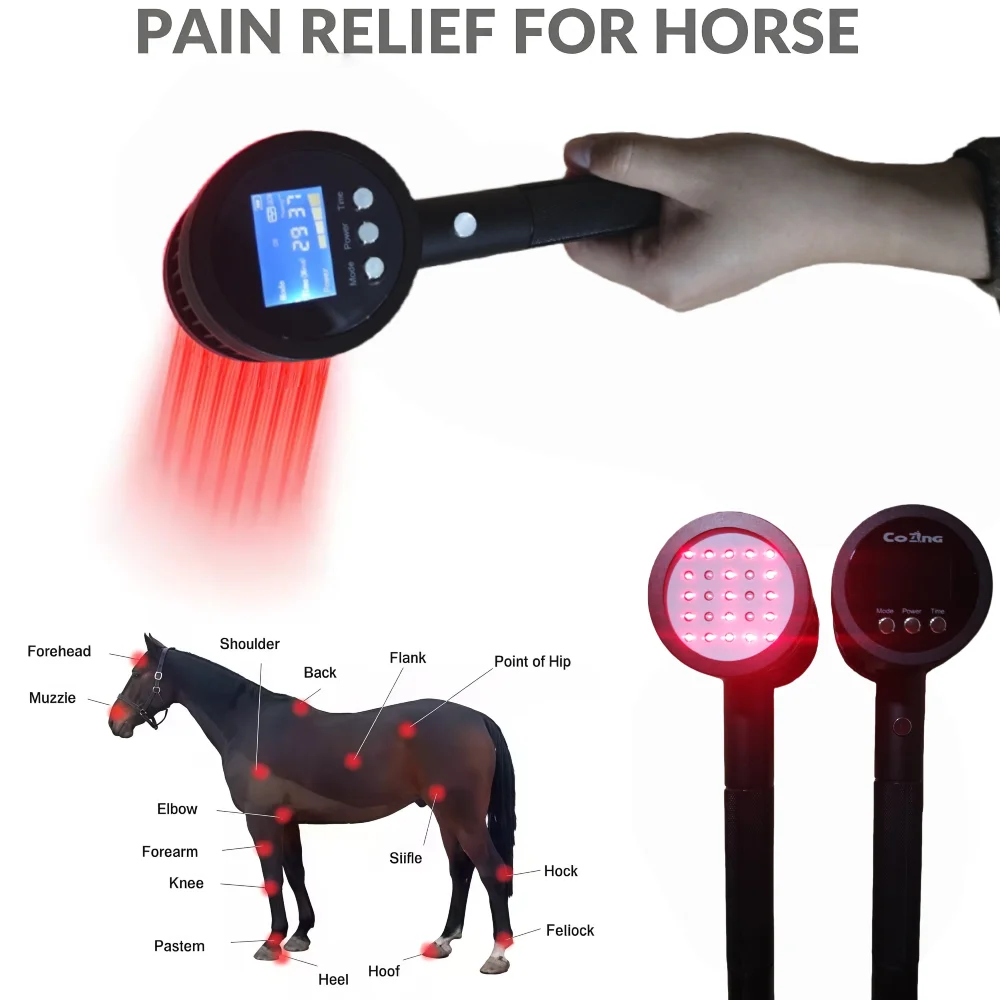 

5W Cold Laser Healing Physiotherapy Machine Portable 25 diodes 808nm 650nm Cold Laser Therapy Device for Neuropathy Near me