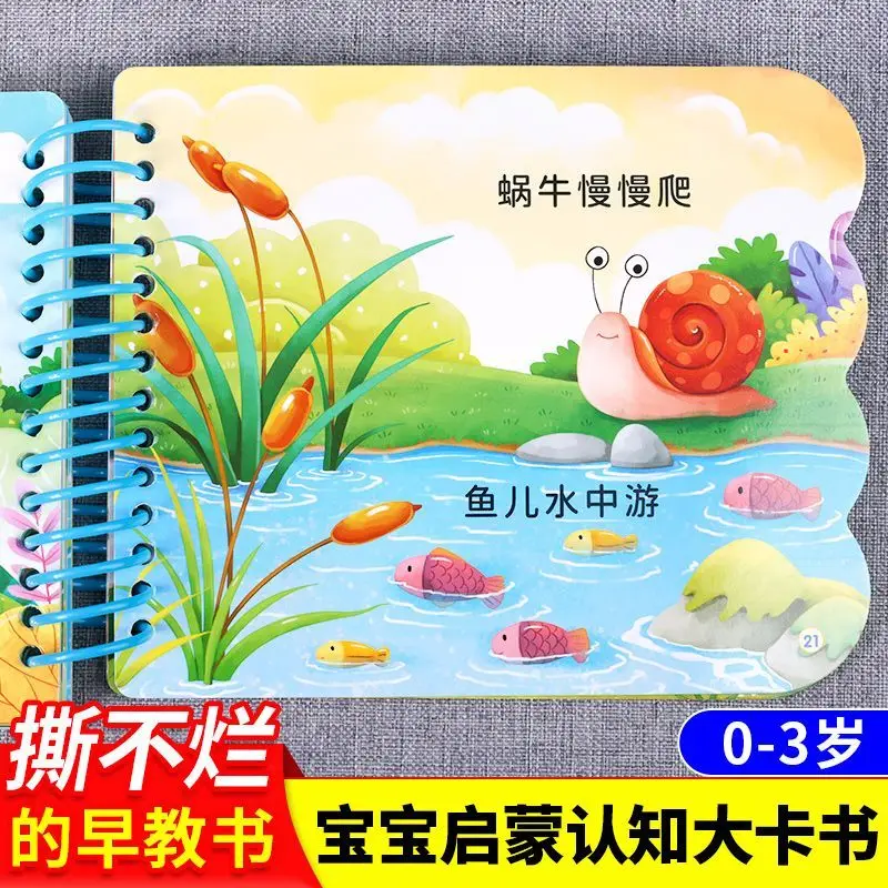 Baby Early Childhood Cognitive Learning - Infant Early Education and Intellectual Development