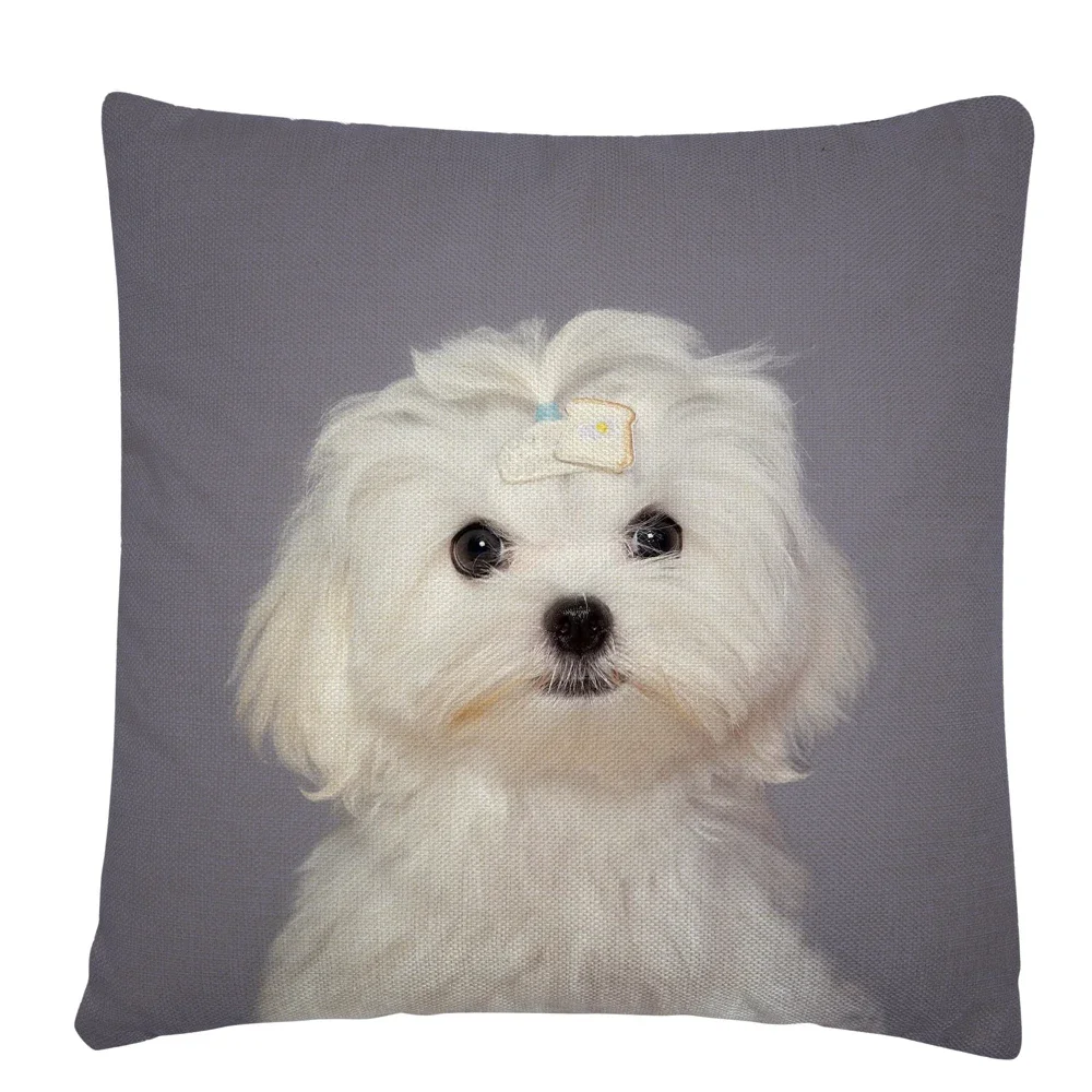 Funda De CojíN De P… - image