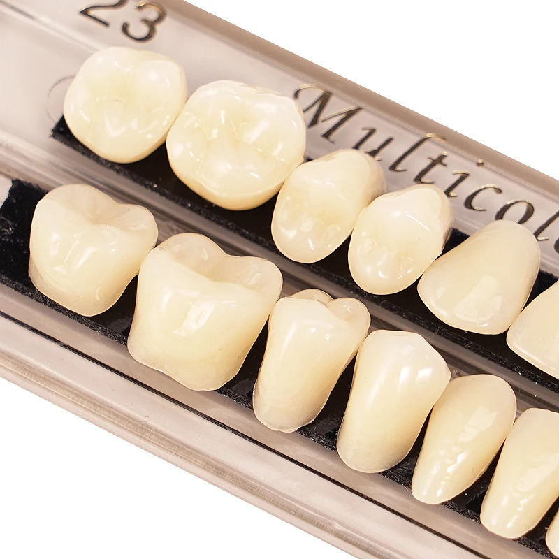 28pcs Teeth Resin Denture Teeth Dental Synthetic Teeth Teaching Model Permanent A2 A3 Artificial Preformed Denture