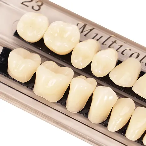 28pcs Teeth Resin Denture Teeth Dental Synthetic Teeth Teaching Model Permanent A2 A3 Artificial Preformed Denture