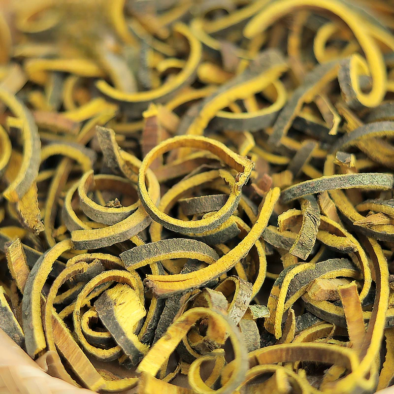 Chinense de Phellodendron