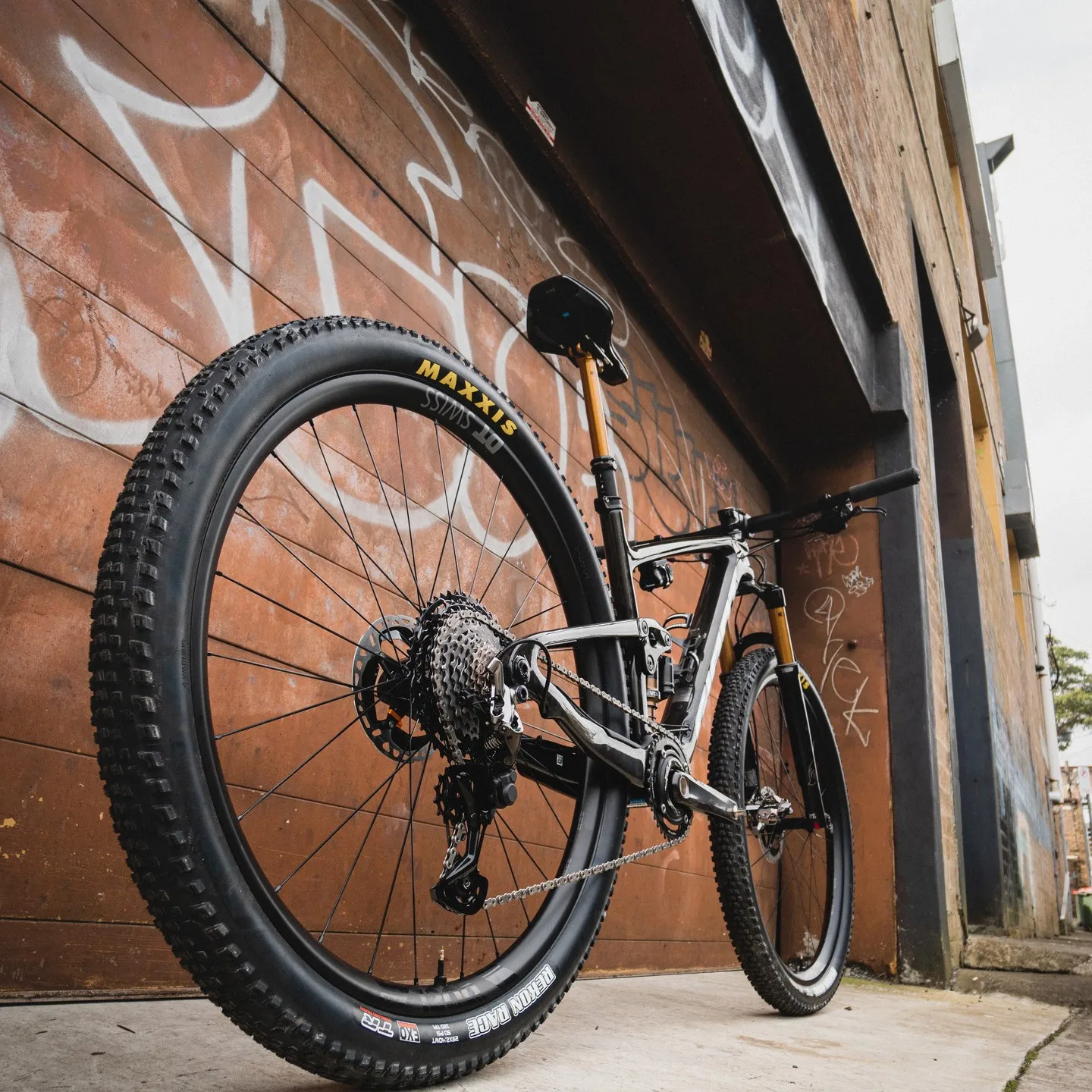 إطار ماكسيس ريكون ريس للدراجات الجبلية XC للطرق الوعرة مضاد للثقب بتقنية EXO مع حافة بنية اللون للدراجات الجبلية #5