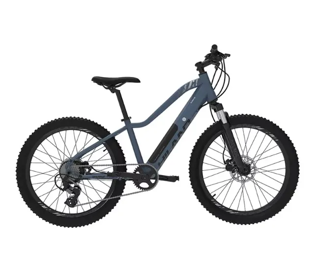 

new model aluminum alloy frame 24 inch mountain e bike 250w 24v electric bike mountain bike