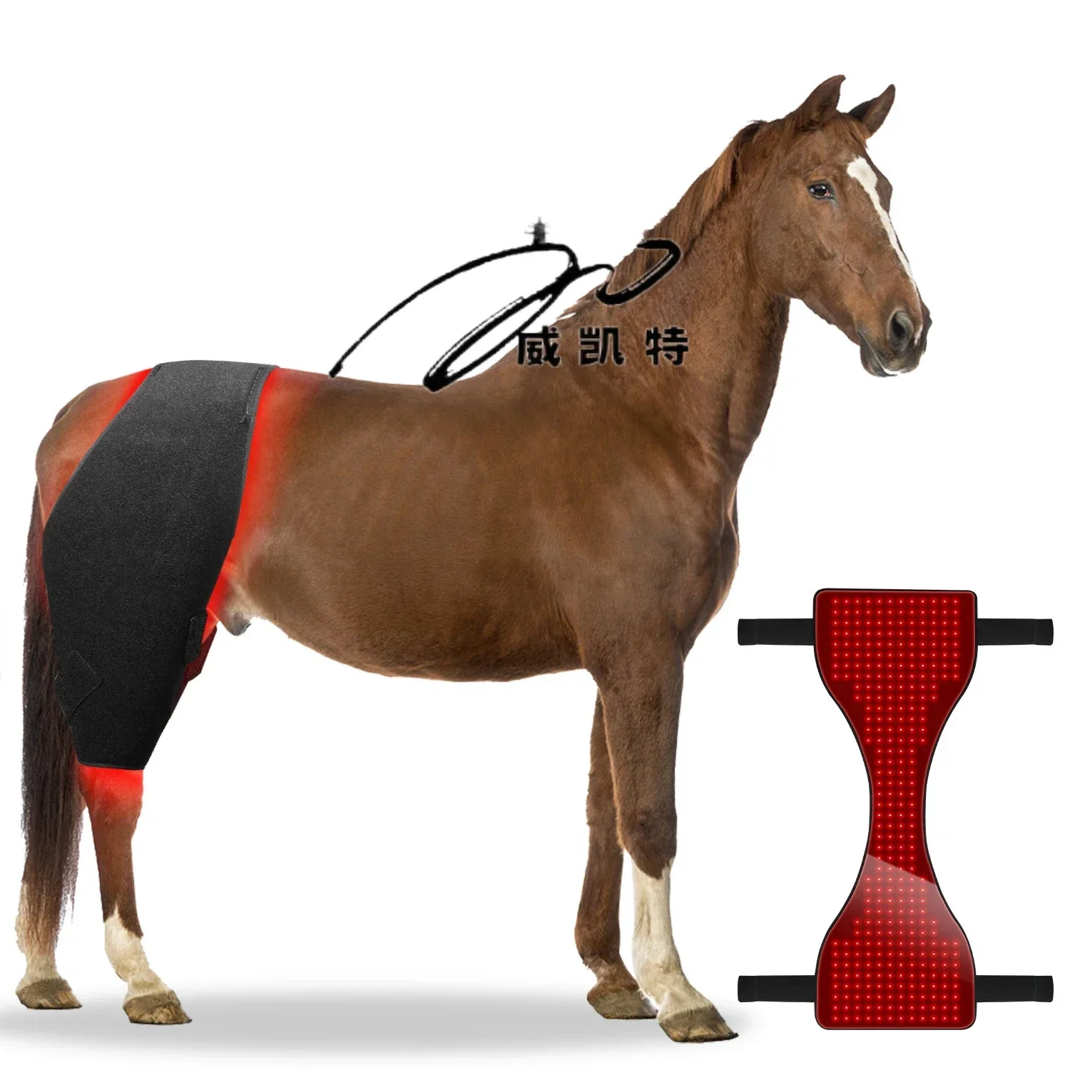 2025 660nm 850nm LED red light therapy for horses with increased energy in the back blanket cells and enhanced blood circulation