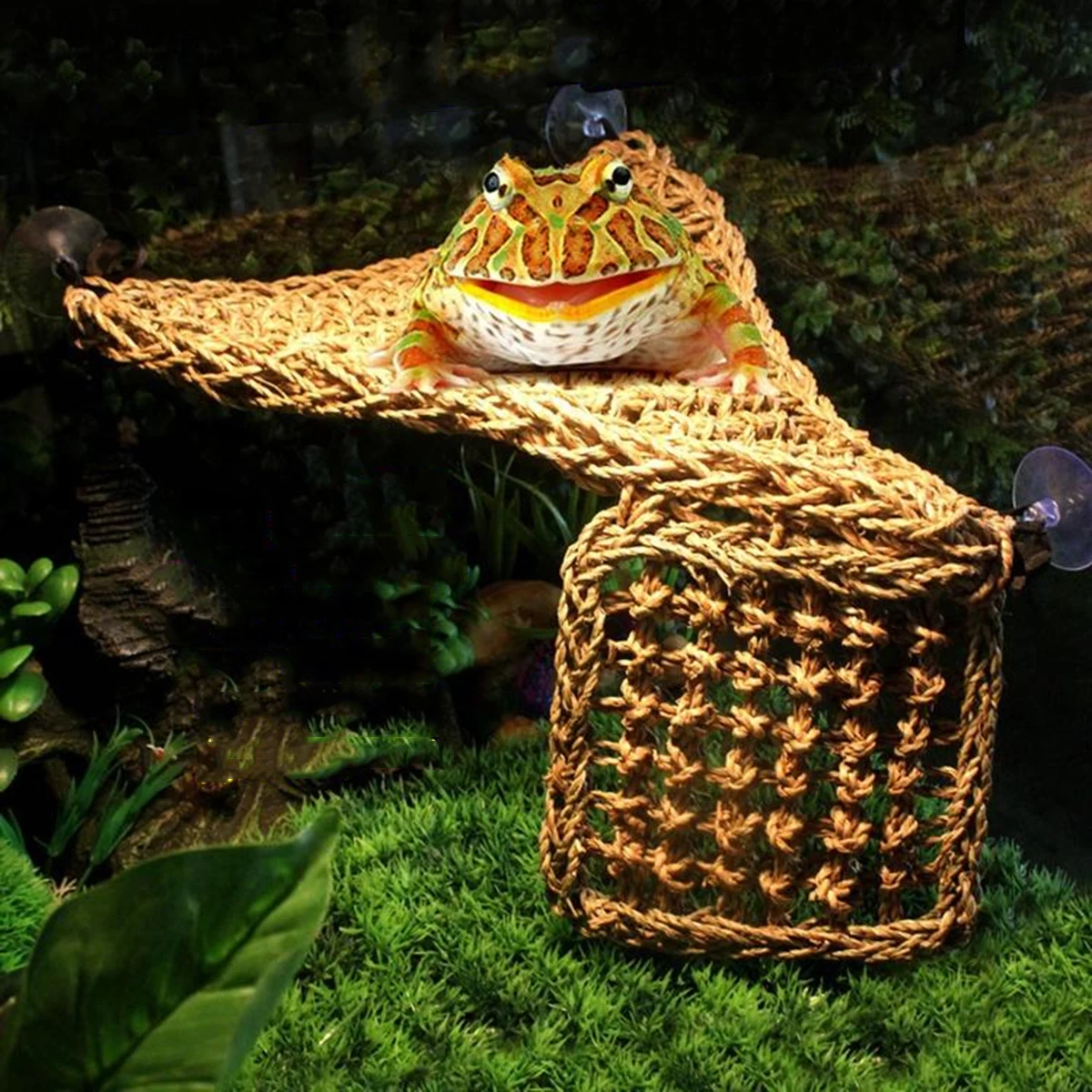 

Lizard Hammock Set Natural Grass Fibers Triangle Flap Ladder Style Suction Cup Easy Mounted Reptile Beds Pet Supplies