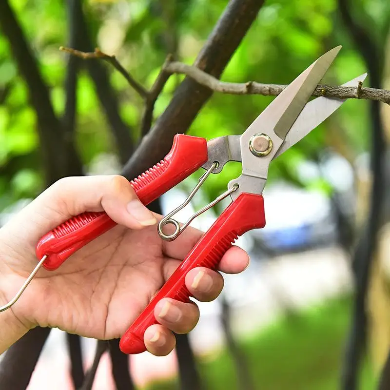 Sharp Straight Blade Gardening Shears Portable Lightweight For Floral Arrangement Bonsai Pruning Garden Work-image