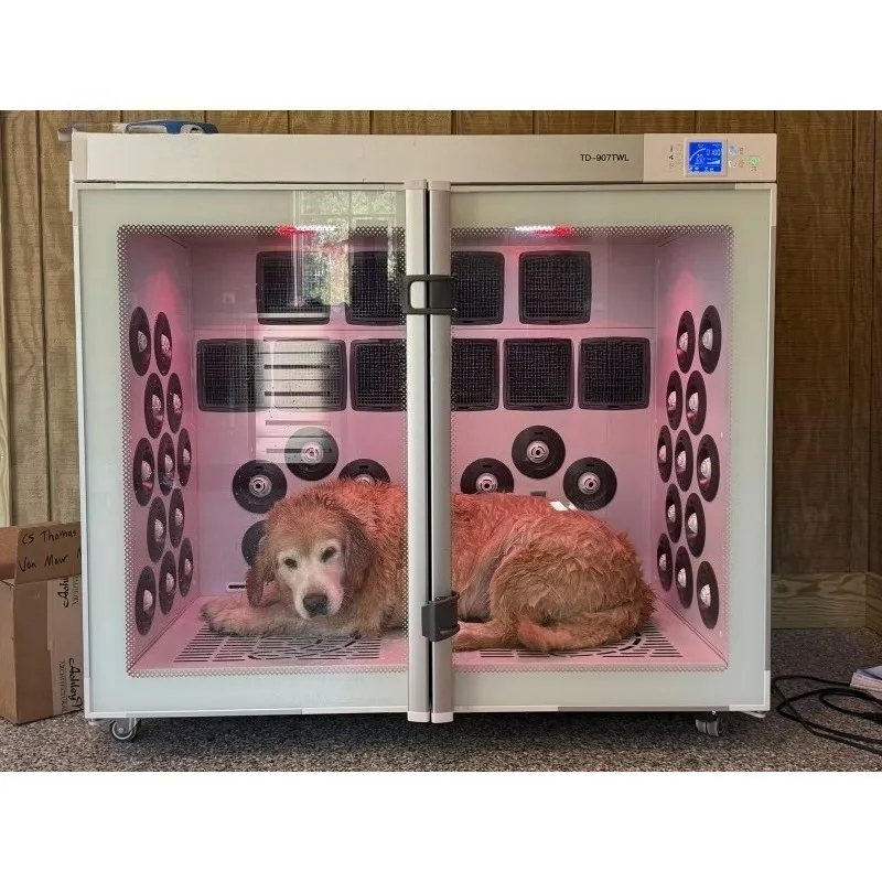 Large Space Accommodates Large-sized Pets Pet Hair Blowing Water Drying Box Hot Selling Automatic Cat Dog Dryer