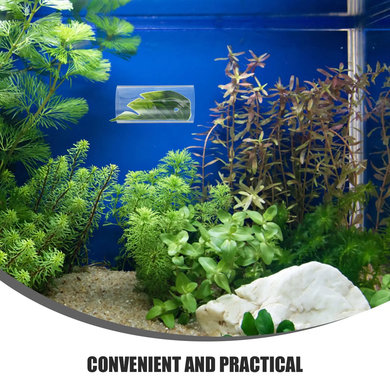 الأسماك الروبيان المأوى حوض السمك الأنفاق خزان بيتا اكسسوارات مخبأ لعبة الاكريليك واضح كهف الديكور الحلي للغوبي